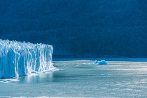 Melting Icebergs and the Rising Sea: A Disaster In The Making