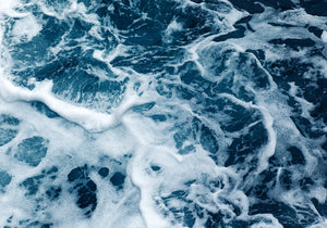 The Oceans Are Getting More Acidic...Here's What You Need To Know